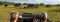 Kichaka Game Lodge safari