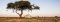 Kusini Camp game drive
