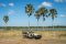 Kuthengo_05-18-133e