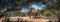 Elephant at Little Garonga