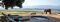 Little Ruckomechi pool and view