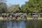 Lodge & Wildlife – Sabi Sabi