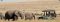 Mara Plains Camp game drive