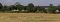 Mara Plains Camp and antelopes