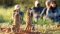 Meerkats – Tswalu