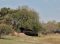Nanzhila Plains Camp