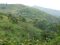 Near Bwindi 1, Feb 10