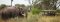 Nxageba game drive