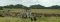 Game drive from Olaado Camp