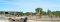 Game drive in Onguma Reserve