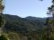 Rainforest in Ranomafana, Madagascar