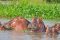 Queen Elizabeth National Park, Uganda