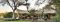 Rhino Walking Safaris: Plains Camp