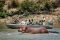 Boat safari with Robin Pope Safaris in South Luangwa, Zambia