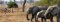 Mountain bike safari with Remote Africa Safaris