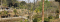 Rosies Homestay house and grounds