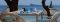 beach dining at Seapoint Boutique Hotel