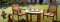 Tea on the lawn at Shahpura Bagh