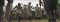 School visit from Silverback Lodge
