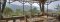 Views from Silverback Lodge