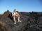 Exploring lava fields, Galapagos Islands