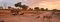Game drive at Somalisa Camp