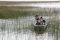 Birdwatching with Titilaka, Lake Titicaca, Peru