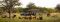 Game drive at The Ant Collection