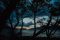 Tierra del Fuego – National Park