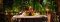 Tranquil Resort candlelit dinner