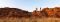 Bush walk at Tuli Safari Lodge