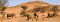 Desert elephants near Twyfelfontein Lodge