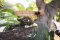 Welcome to Kosi Forest Lodge