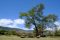 Private site lunch stop in Ngorongoro Crater, Tanzania