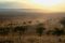 Central Serengeti landscape, Tanzania