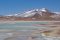 Altiplano lakes day trip from Atacama, Chile