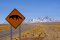 Fox road sign in the Altiplano, Atacama, Chile