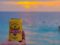 localbeerandbeach