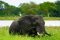 shutterstock_1108303454 Lake Malawi National Park T.Sahl