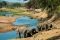 Elephants by Ruaha River, Tanzania