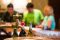 Wine tasting tours in the Cape winelands, South Africa