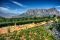 shutterstock_135513566 – jbor – a Stellenbosch vineyard with Simonsberg Mountain