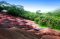 Coloured earth at Chamarel, Mauritius