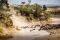 Migration river crossing, Serengeti. Tanzania