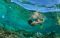 shutterstock_258113165 ohrim snorkeling