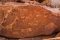 Twyfelfontein rock art, Namibia