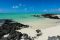shutterstock_297247082 – Olena Granko – Ile aux cerfs