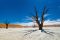Dead Vlei, Namib-Naukluft, Namibia