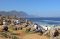 Whale watching at Hermanus, South Africa