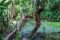 shutterstock_434788141 Matyas Rehak – Native tour guide in a jungle of Madidi National Park